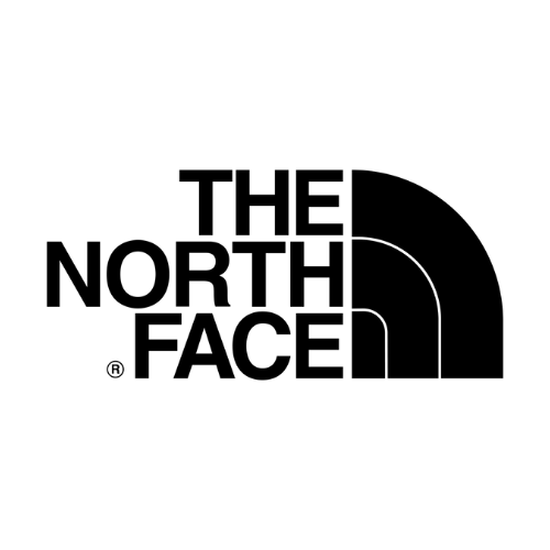 the north face cap logo